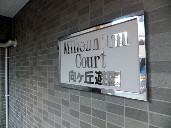 ミレニアムコート向ヶ丘遊園の外観