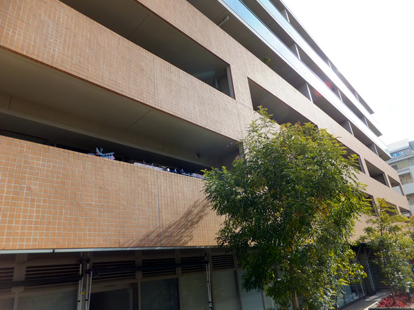 ドレッセたまプラーザマシェリの外観