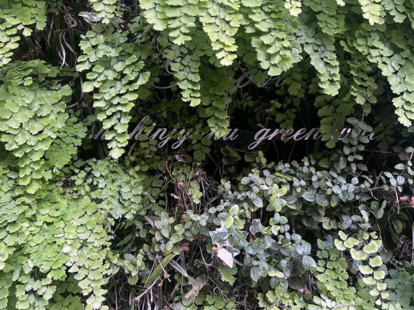 ジェノヴィア西新宿グリーンウォールの外観