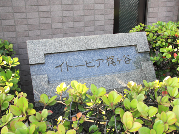 イトーピア梶ヶ谷の外観
