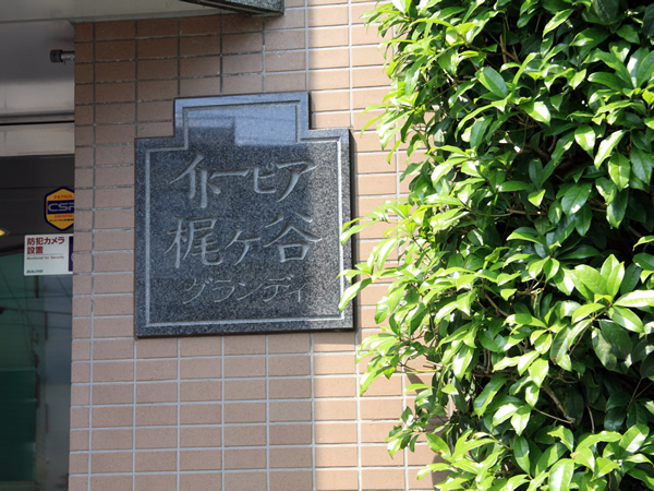 イトーピア梶ヶ谷グランディの外観