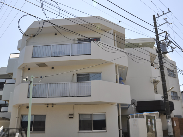 ニックハイム佃野の外観