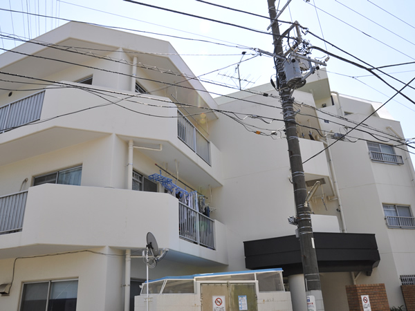 ニックハイム佃野の外観