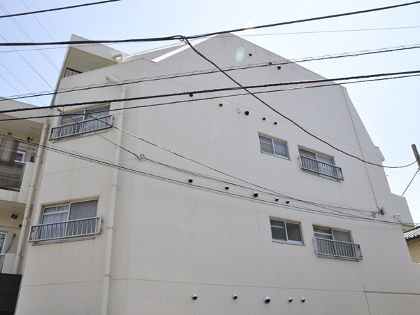 ニックハイム佃野の外観