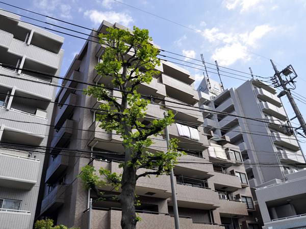 日神パレステージ大倉山の外観