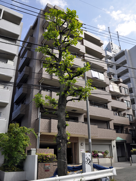 日神パレステージ大倉山の外観