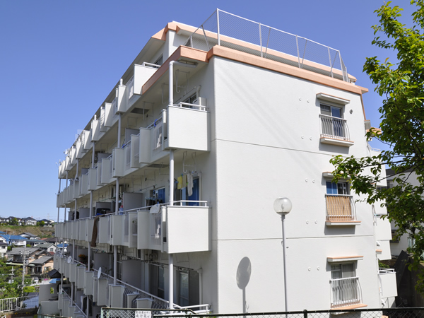 ダイアパレス三ッ池公園の外観