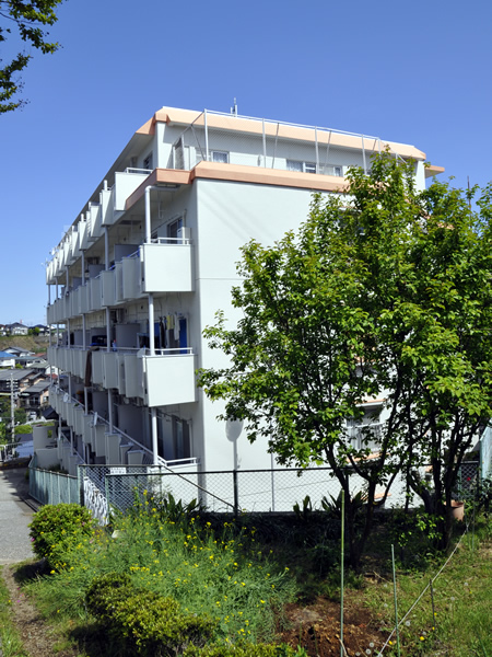 ダイアパレス三ッ池公園の外観