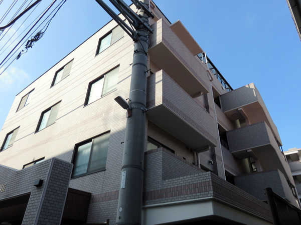 キャッスルマンション相模が丘の外観