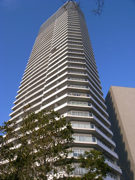 コットンハーバーマリナゲートタワーの外観