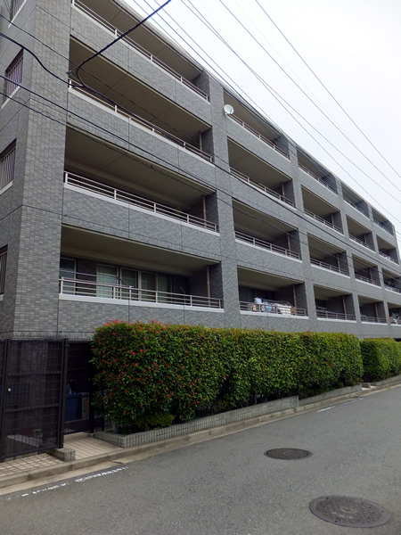 ルシオン仲町台の外観