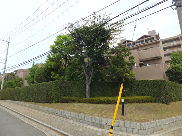 ヒルズアスパイア６号棟の外観