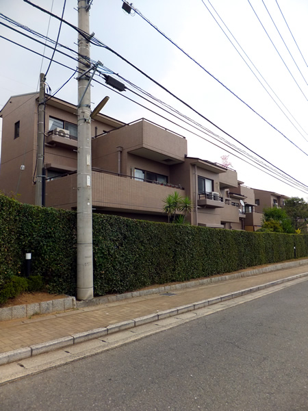 ヒルズアスパイア５号棟の外観