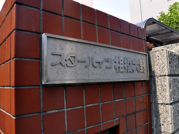 スターハイツ相模大野駅前の外観