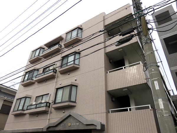 セシーズ武蔵中原の外観