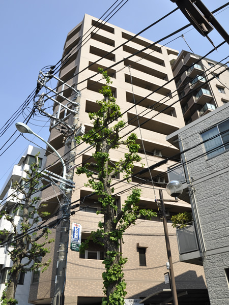 ライオンズマンション目白台シティの外観