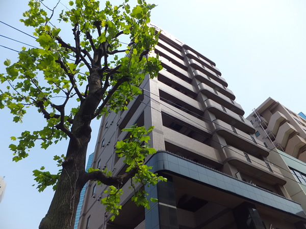 グリフィン横浜桜木町2番館の外観