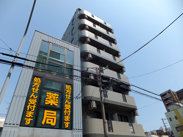 グリフィン横浜アネシスの外観