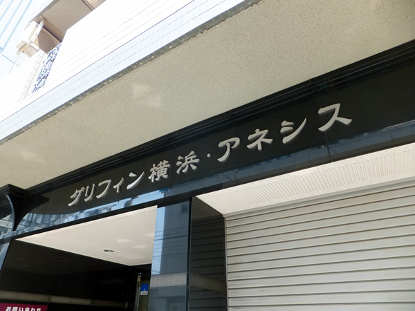 グリフィン横浜アネシスの外観
