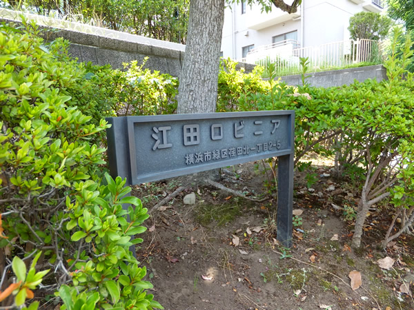 江田ロビニアの外観