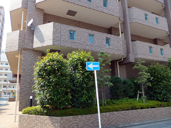 エステスクエア相模大野駅前の外観