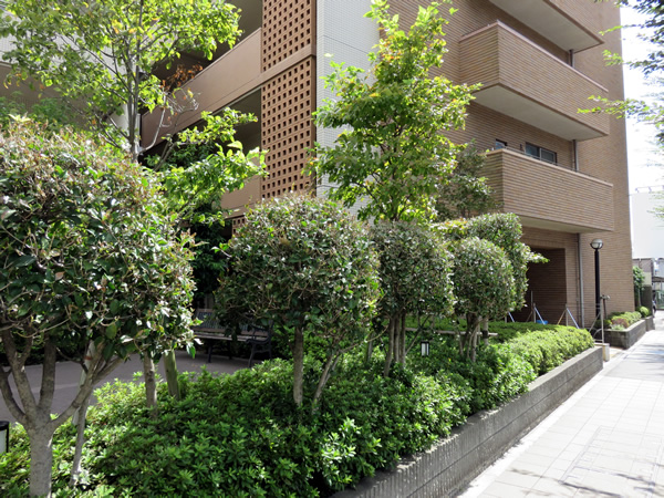 グランガーデン相模大野の外観