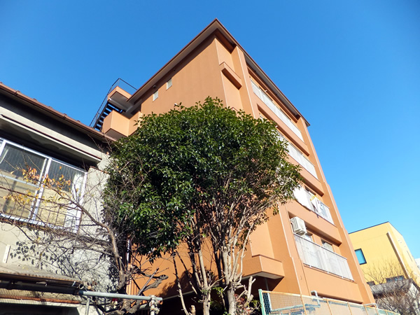 エスペランサ綱島の外観