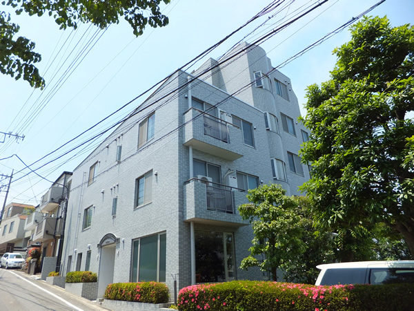 ライネスハイム鷺沼1番館の外観