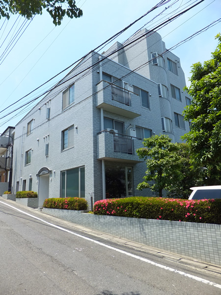 ライネスハイム鷺沼1番館の外観