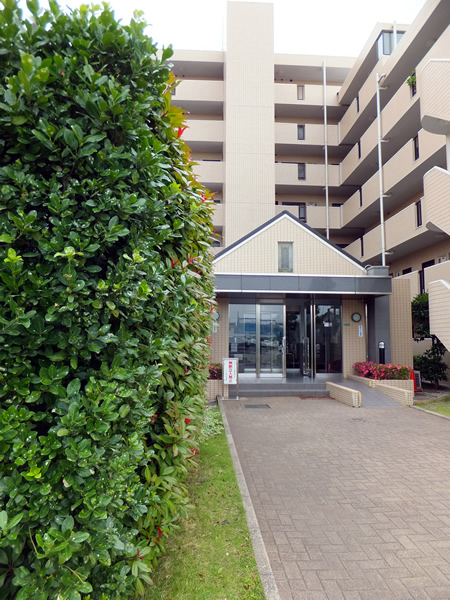 東急ドエルアルス相模大野の外観