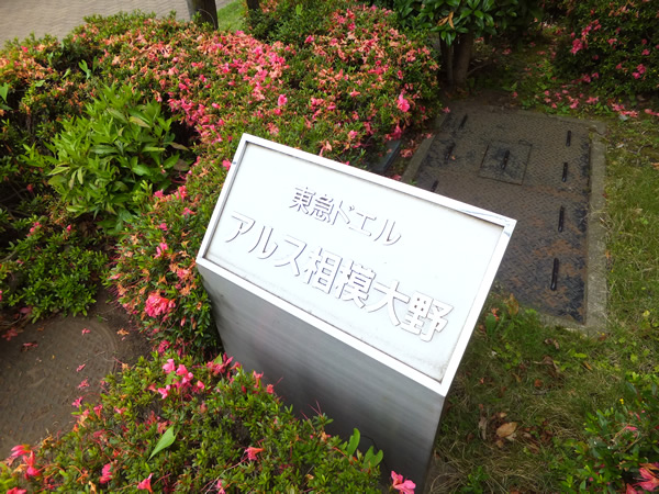 東急ドエルアルス相模大野の外観