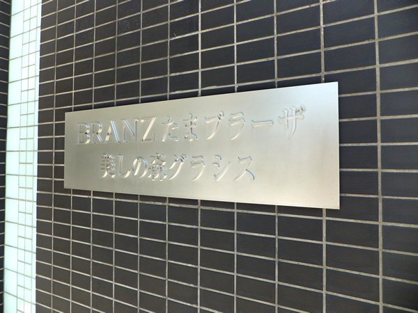 ブランズたまプラーザ美しの森グラシスの外観