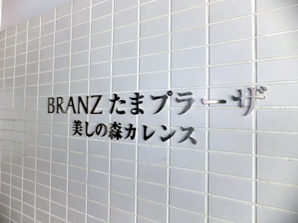 ブランズたまプラーザ美しの森カレンスの外観