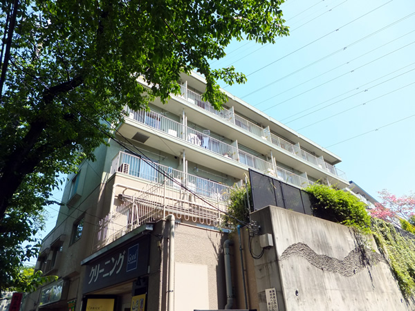 陽輪台美しが丘の外観