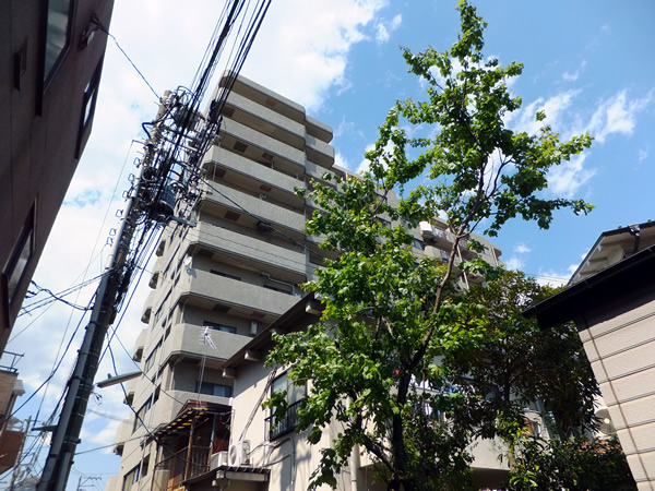 セザール鶴見の外観