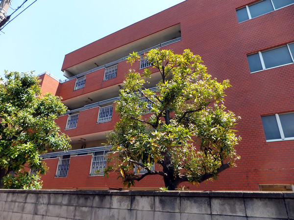 鶴見平和プラザの外観