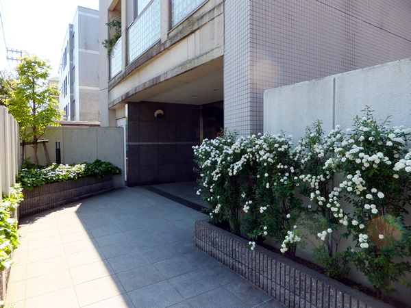 ネオマイム北寺尾の外観