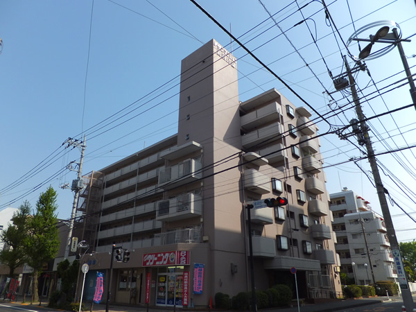 チサンマンション鹿沼公園の外観