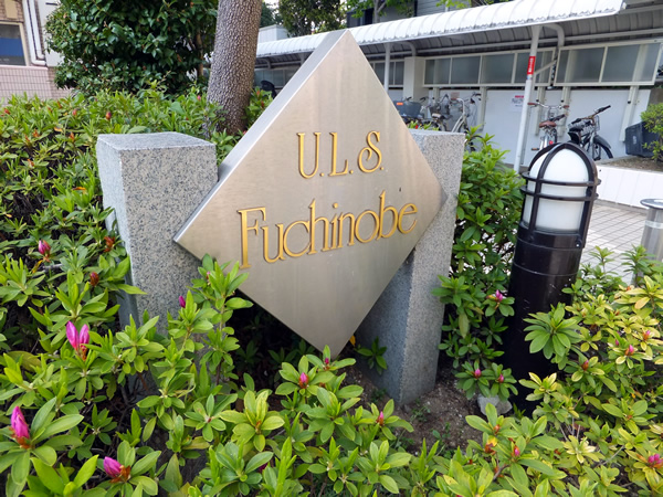 東急ドエルアルス淵野辺の外観