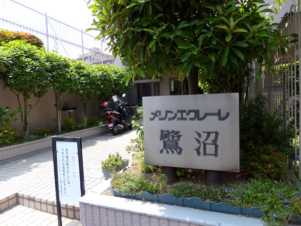 メゾンエクレーレ鷺沼の外観
