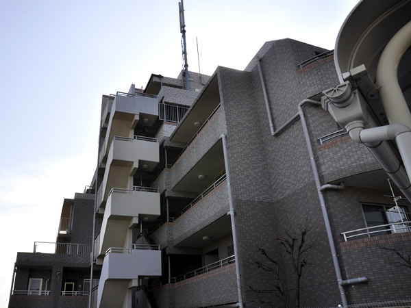 ラ・ベル菊名グリーンアルカディアの外観