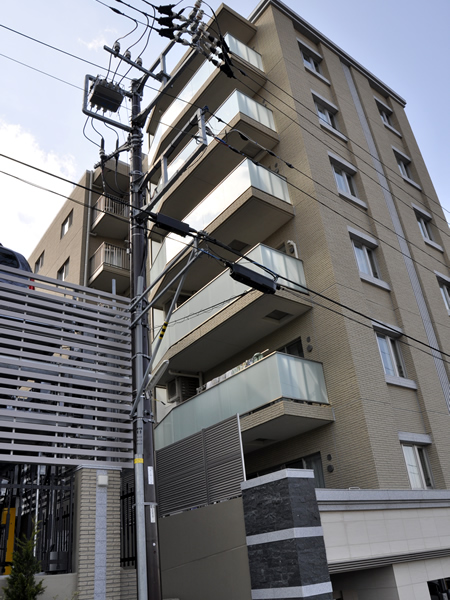 ネスティア菊名桜山公園センターヒルズの外観