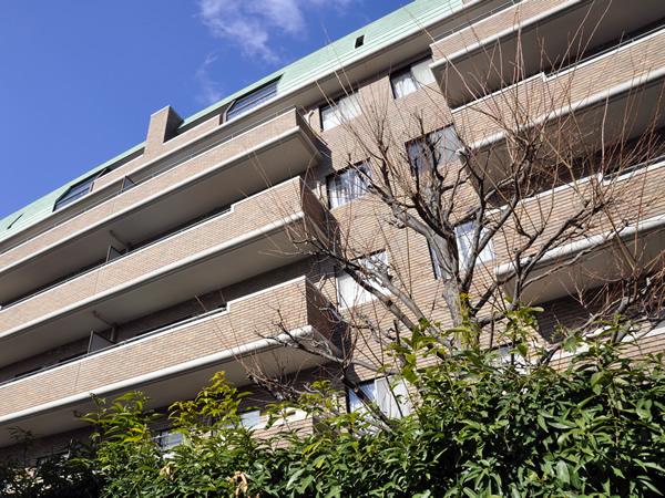 ザ・ヴィスタ妙蓮寺の外観