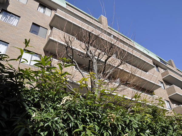 ザ・ヴィスタ妙蓮寺の外観