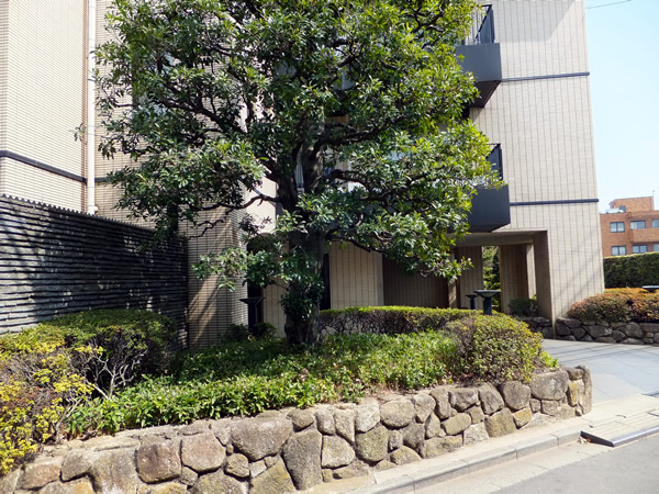 パレロワイヤル目白の外観