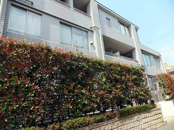 ラヴィドール目白の外観