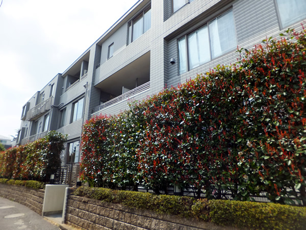 ラヴィドール目白の外観