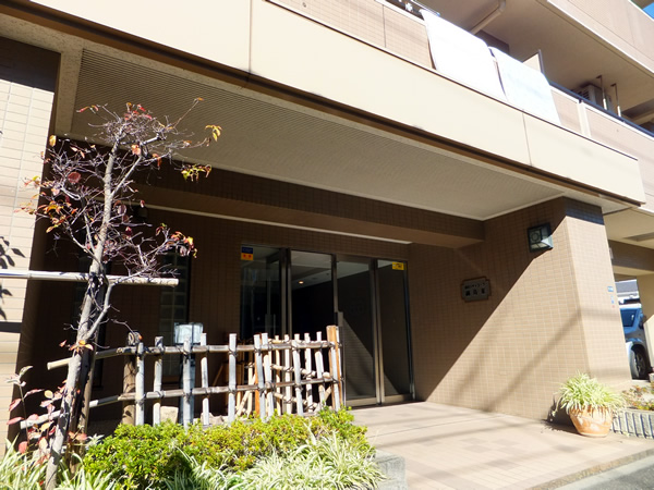 藤和シティコープ綱島東の外観