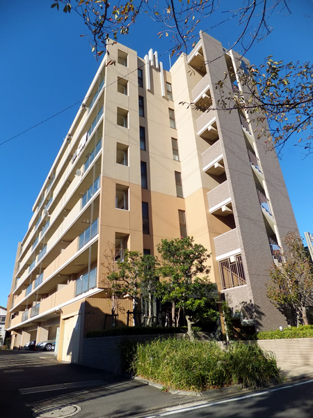 レクシオ綱島の外観