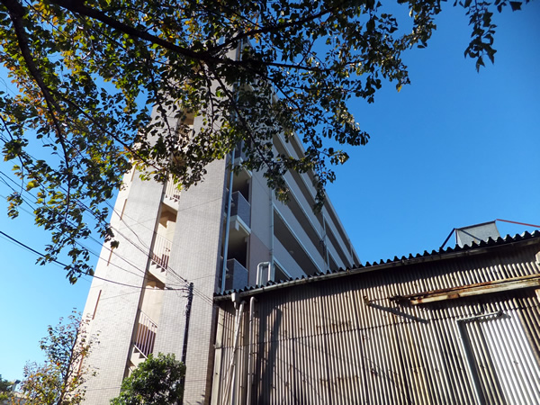 レクシオ綱島の外観